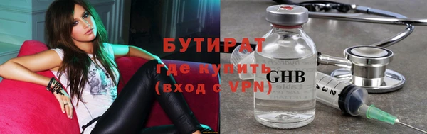 шишки Надым