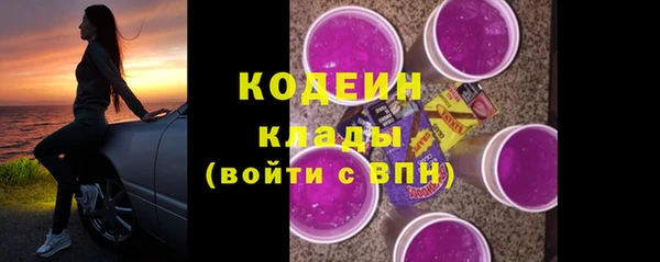шишки Надым