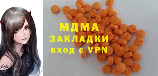 шишки Надым