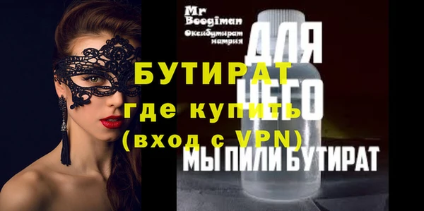 шишки Надым