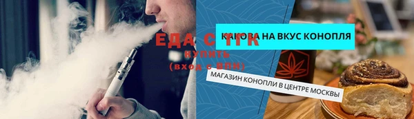 шишки Надым