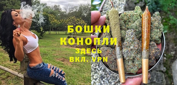 шишки Надым