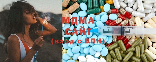 шишки Надым