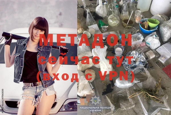 шишки Надым