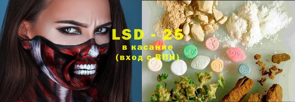 шишки Надым