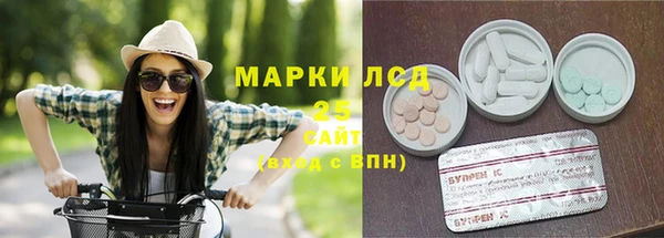 шишки Надым