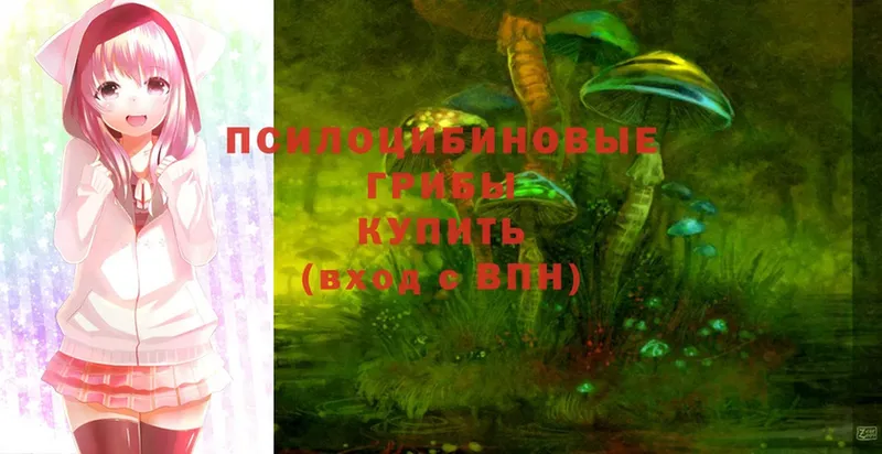 Псилоцибиновые грибы Cubensis  Коммунар 