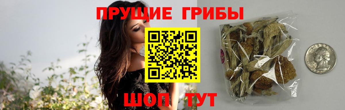 Коммунар  Галлюциногенные грибы мицелий  где можно купить наркотик  Вход с VPN 